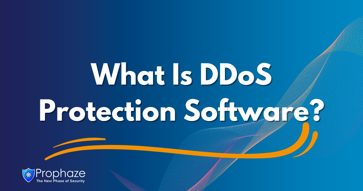 What Is DDoS Protection Software?