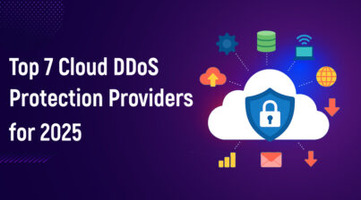 Top 7 Cloud DDoS Protection Providers for 2025