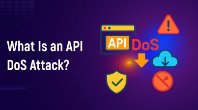 What Is an API DoS Attack
