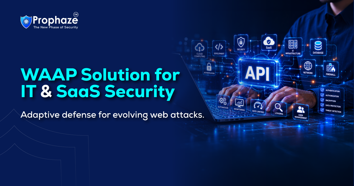 WAAP Solution for IT & SaaS