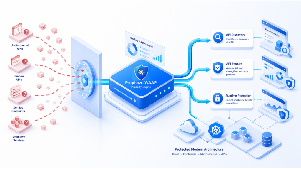 Closing Visibility Gaps in WAAP