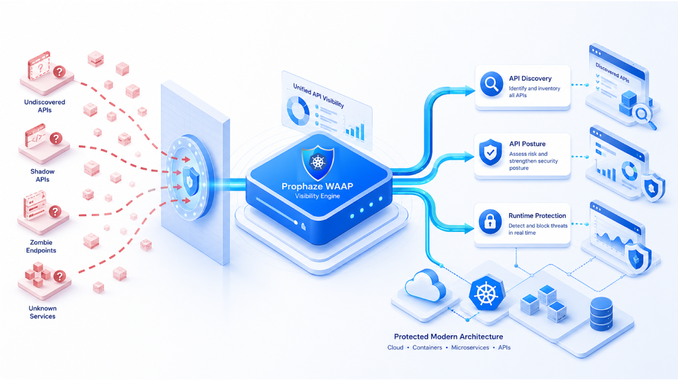 Closing Visibility Gaps in WAAP